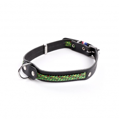 Collier cuir & nylon "Colorado" pour chien - Vert