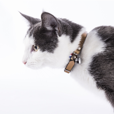 Collier cuir Tressé Chat - Cuivre kiko