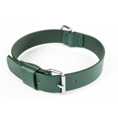 Collier droit en cuir vert pour chien - coupé franc piqué