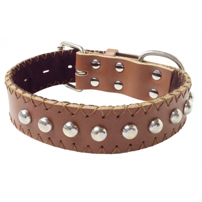 Collier en cuir marron pour chien