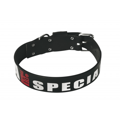 Collier en cuir noir pour chien - O.A Special