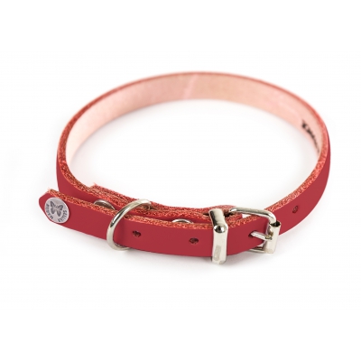 Collier en cuir rouge pour chien - cuir coloré classique