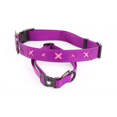 Collier pour chien - croix rose
