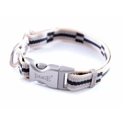 Collier pour chien - Dream  gris