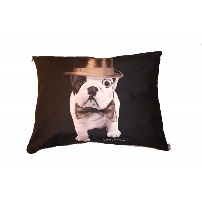 Coussin pour chien et chat - Téo Dandy pour chien