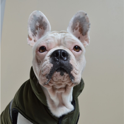 Doudoune - Collection Eden - Kaki 5