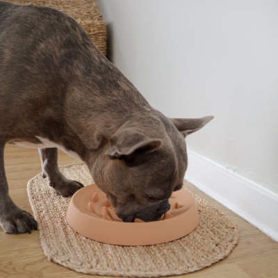 Gamelle "Anti-Glouton" jaune en silicone pour chien et chat - 300mL 4