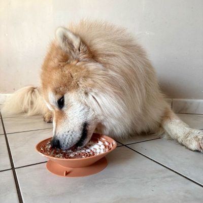 Gamelle de léchage silicone pour chien et chat - jaune 7