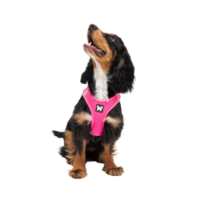 Harnais Mesh Rose Fluo Aneth