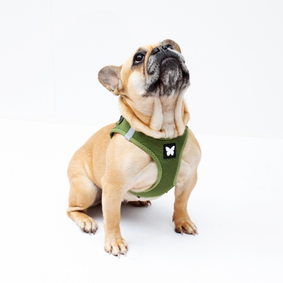 Harnais Mesh Vert Kaki 5