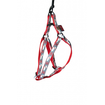 Harnais nylon pour chien - Scott Snow