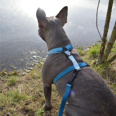 Harnais nylon Reflex Bleu Azur 2