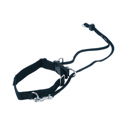 Harnais pour chien - harnais de marche