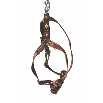 Harnais pour chien - Népal