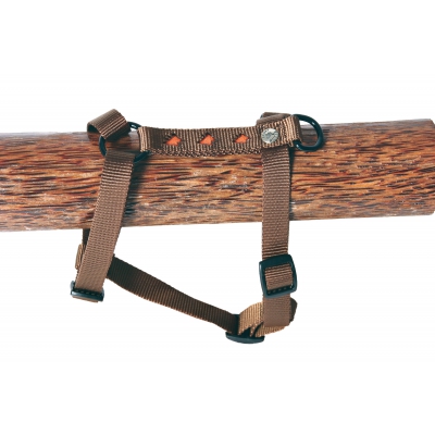 Harnais pour chien - papillons orange