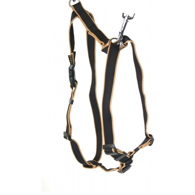Harnais pour chien - Safran