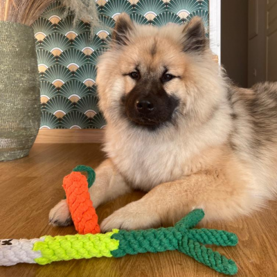 Jouet corde poireau twist