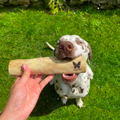 Jouet à mâcher - Baton en bois de caféier pour chien - XL gaia