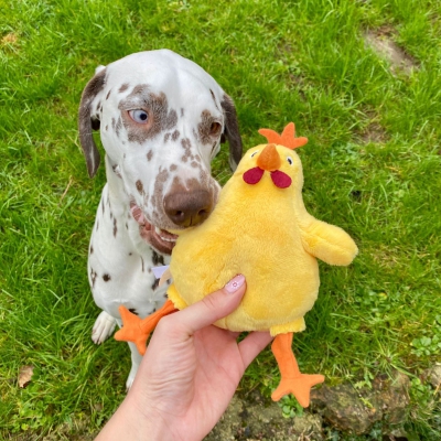 Jouet peluche pour chien - Poule jaune 4