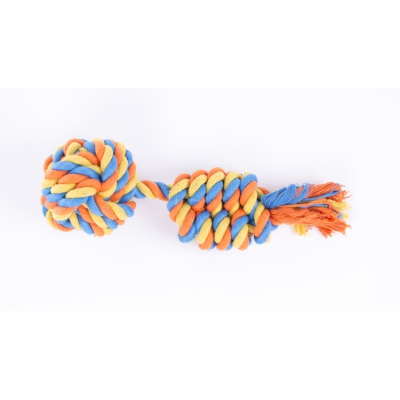 Jouet pour chien - Lot de 4 balles + corde en coton
