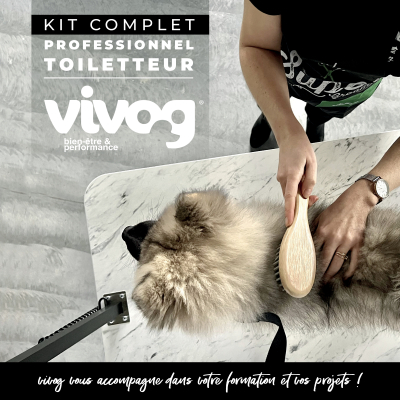 Kit complet professionnel de toilettage
