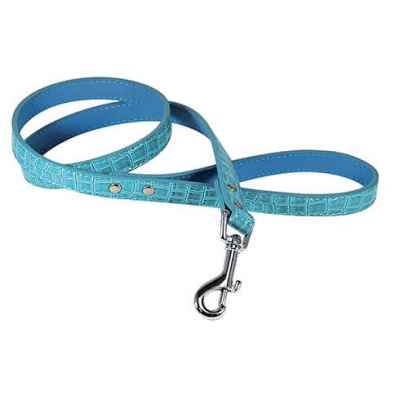 Laisse Celeste bleue pour chien