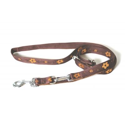Laisse de dressage 3 positions pour chien - Népal
