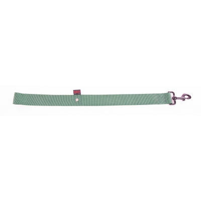 Laisse double épaisseur pour chien en nylon vert - larg 40mm Long 60cm