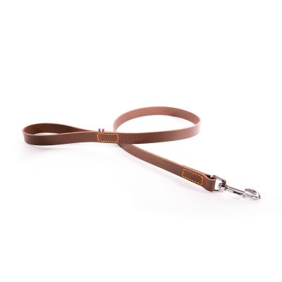 Laisse en cuir marron pour chien