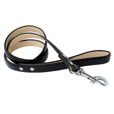 Laisse noire "Dundy"