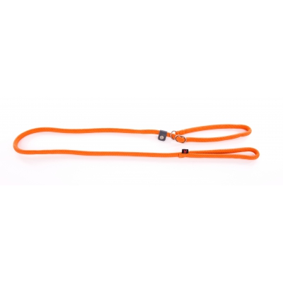 Laisse nylon avec collier éducation orange - 180cm 