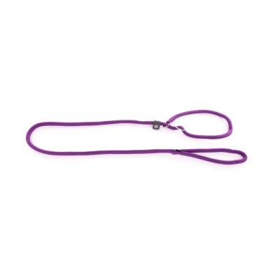 Laisse nylon  pour chien avec collier éducateur mauve - 180cm 