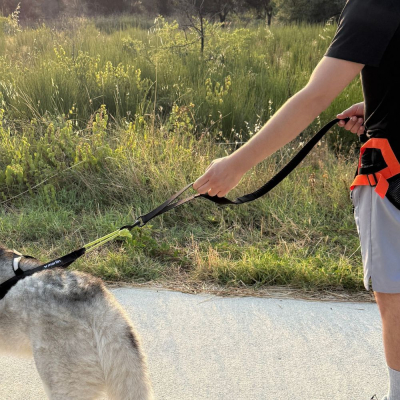 Laisse pour Canicross 6