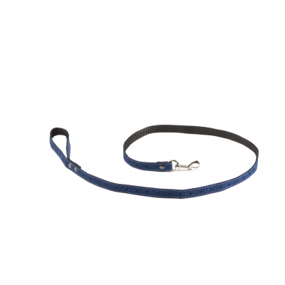 Laisse pour chien - 5ème avenue bleu
