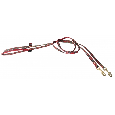 Laisse pour chien - Benton écossais