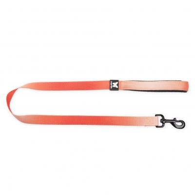 Laisse pour chien - Color Vibe 4