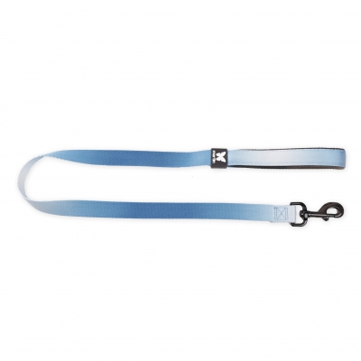 Laisse pour chien - nylon Color vibe