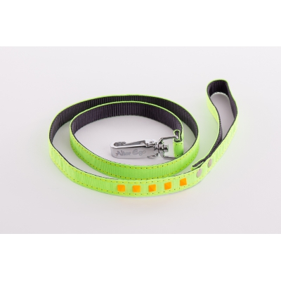 Laisse pour chien - nylon Fluo Color vert & orange