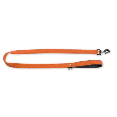 Laisse pour chien - nylon orange 5