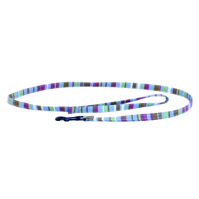 Laisse pour chien - Rayé