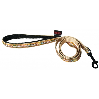 Laisse pour chien - Smiles