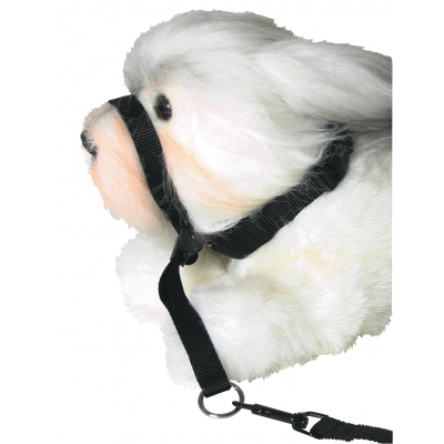 Licol de dressage pour chien