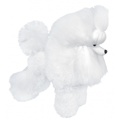 Mannequin Chien d'entraînement au toilettage