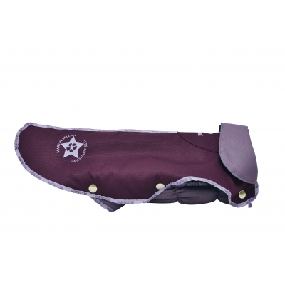 Manteau pour chien - Pets Connection violet