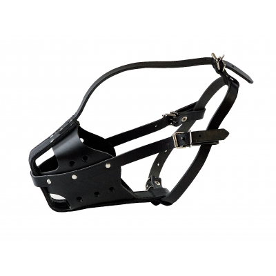 Muselière rottweiler mâle