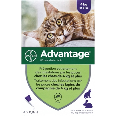 Pipettes antiparasitaires - chat de plus de 4 kg - Advantage