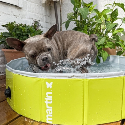 Piscine pour chien Martin Pool - Vert 4