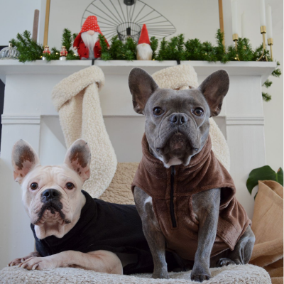 Polaire - Collection Explorer - Marron