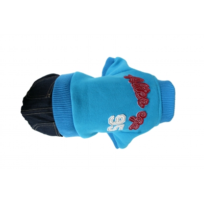 Pull + pantalon pour chien - Sweater US  bleu