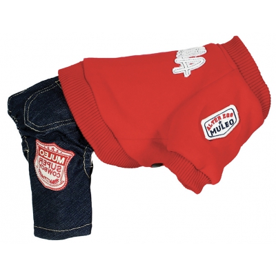 Pull + pantalon pour chien - Sweater US rouge